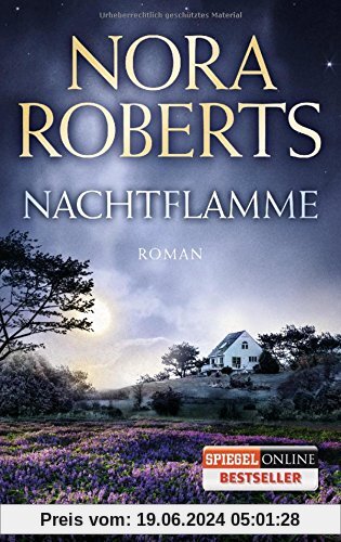 Nachtflamme: Roman (Die Nacht-Trilogie, Band 2)